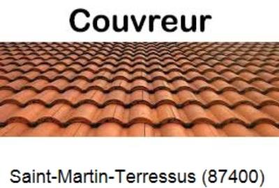 Réparation fuite de toiture à Saint-Martin-Terressus-87400