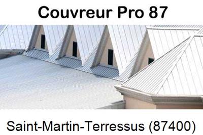 Entreprise de zinguerie à Saint-Martin-Terressus-87400