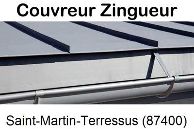 Photo toiture zinc Saint-Martin-Terressus-87400