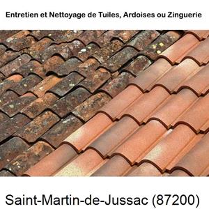 Nettoyage toiture à Saint-Martin-de-Jussac-87200