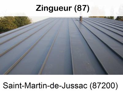 Votre zingueur en image à Saint-Martin-de-Jussac-87200