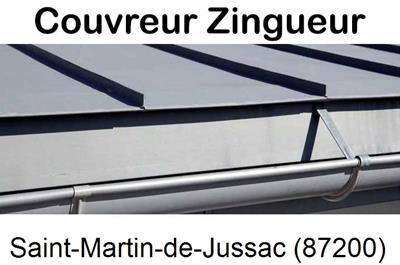 Photo toiture zinc Saint-Martin-de-Jussac-87200