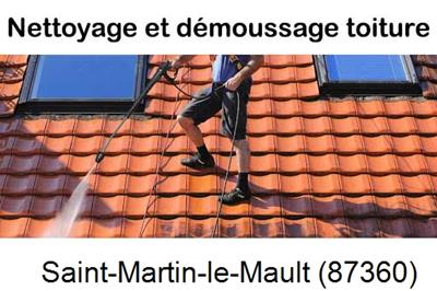 Artisan couvreur propose anti-mousse à Saint-Martin-le-Mault-87360