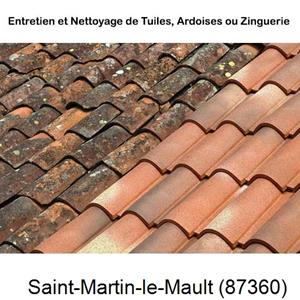 Nettoyage toiture à Saint-Martin-le-Mault-87360