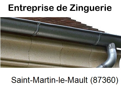 Votre zingueur en image à Saint-Martin-le-Mault-87360