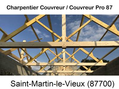 Couvreur pro 87 sur Saint-Martin-le-Vieux-87700