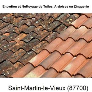 Nettoyage toiture à Saint-Martin-le-Vieux-87700