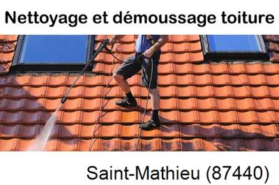 Artisan couvreur propose anti-mousse à Saint-Mathieu-87440