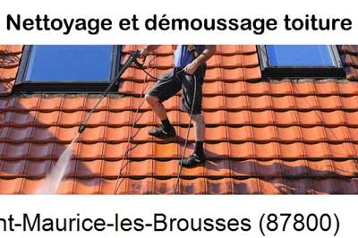 Artisan couvreur propose anti-mousse à Saint-Maurice-les-Brousses-87800