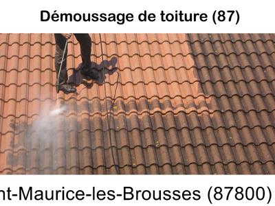 Toiture démoussage Saint-Maurice-les-Brousses-87800