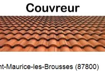 Réparation fuite de toiture à Saint-Maurice-les-Brousses-87800