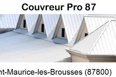 Entreprise de zinguerie à Saint-Maurice-les-Brousses-87800