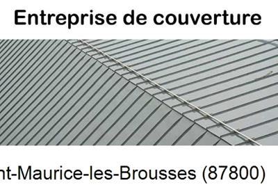 Couvreur pro 87 Saint-Maurice-les-Brousses-87800