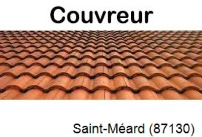 La référence en recherche de fuite toiture à Saint-Méard-87130