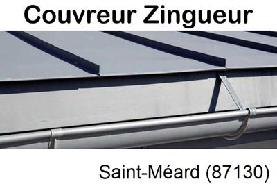 Photo toiture zinc Saint-Méard-87130