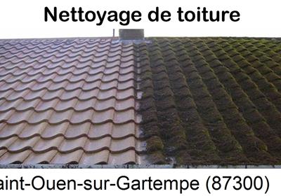 Entreprise de démoussage à Saint-Ouen-sur-Gartempe-87300