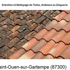 Nettoyage toiture à Saint-Ouen-sur-Gartempe-87300