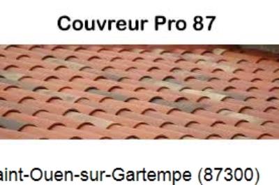 Entreprise de couverture à Saint-Ouen-sur-Gartempe-87300