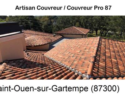 Réparation fuite de toiture à Saint-Ouen-sur-Gartempe-87300