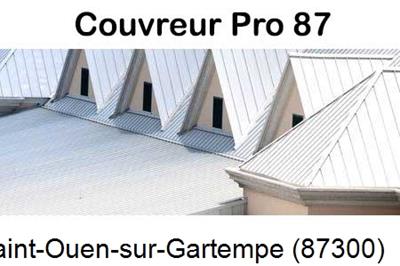 Entreprise de zinguerie à Saint-Ouen-sur-Gartempe-87300