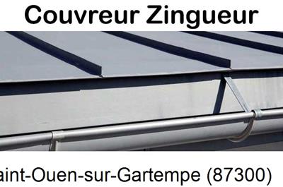 Photo toiture zinc Saint-Ouen-sur-Gartempe-87300