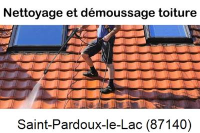 Artisan couvreur propose anti-mousse à Saint-Pardoux-le-Lac-87140