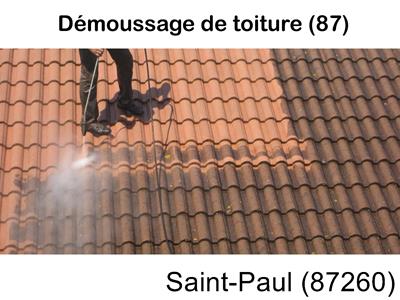 Toiture démoussage Saint-Paul-87260