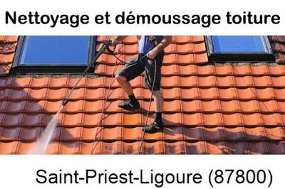 Artisan couvreur propose anti-mousse à Saint-Priest-Ligoure-87800