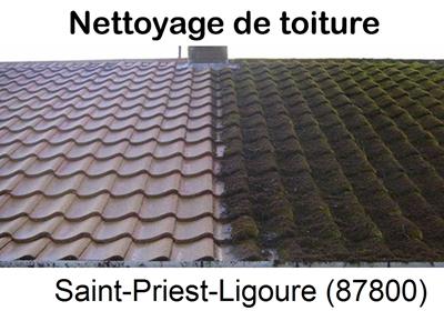 Entreprise de démoussage à Saint-Priest-Ligoure-87800