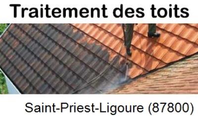 Démoussage sur toiture ardoise et tuile Saint-Priest-Ligoure-87800