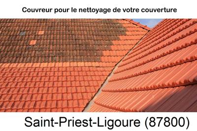 Entreprise de couverture à Saint-Priest-Ligoure-87800