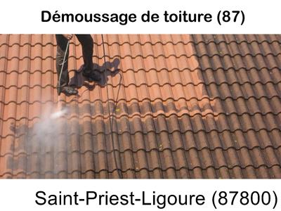 Toiture démoussage Saint-Priest-Ligoure-87800