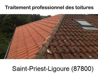 Couvreur pro 87 sur Saint-Priest-Ligoure-87800