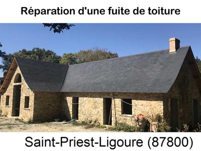 Réparation fuite à Saint-Priest-Ligoure-87800