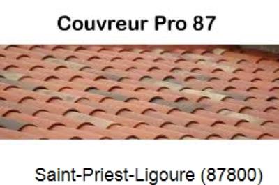 Votre couvreur pour la réparation des toits Saint-Priest-Ligoure-87800