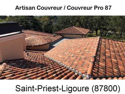 La référence en recherche de fuite toiture à Saint-Priest-Ligoure-87800