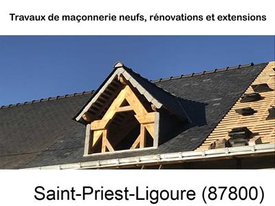 Maçonnerie en neuf à Saint-Priest-Ligoure-87800