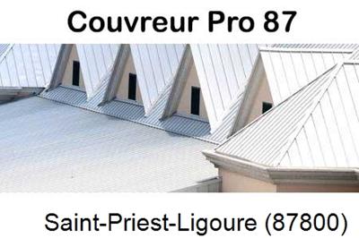 Entreprise de zinguerie à Saint-Priest-Ligoure-87800