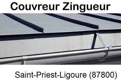 Photo toiture zinc Saint-Priest-Ligoure-87800