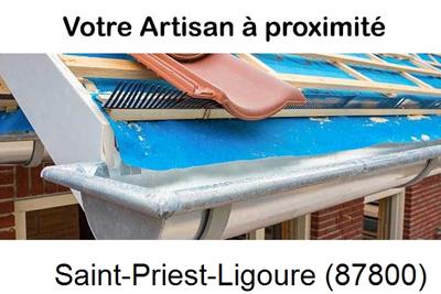 Toiture neuve en zinc Saint-Priest-Ligoure-87800