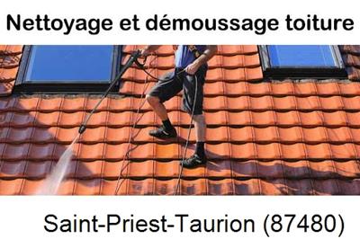 Artisan couvreur propose anti-mousse à Saint-Priest-Taurion-87480