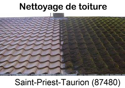 Entreprise de démoussage à Saint-Priest-Taurion-87480