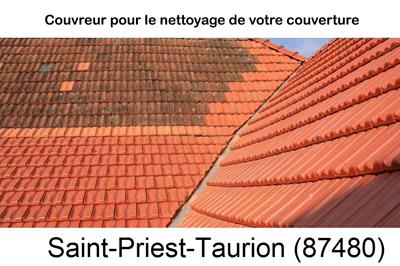 Entreprise de couverture à Saint-Priest-Taurion-87480