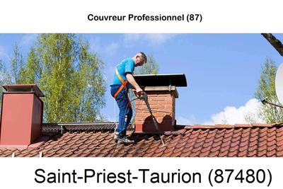 Couvreur à Saint-Priest-Taurion-87480