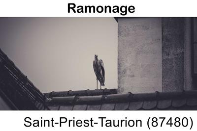 Artisan ramoneur Saint-Priest-Taurion-87480