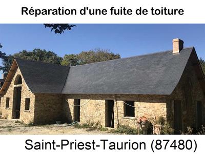 Toiture réparation à Saint-Priest-Taurion-87480