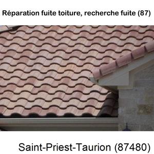 Artisan couvreur à la recherche d'une fuite Saint-Priest-Taurion-87480