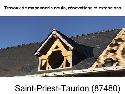 Maçonnerie en neuf à Saint-Priest-Taurion-87480