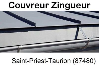 Photo toiture zinc Saint-Priest-Taurion-87480