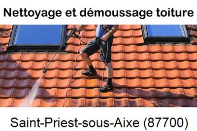 Artisan couvreur propose anti-mousse à Saint-Priest-sous-Aixe-87700